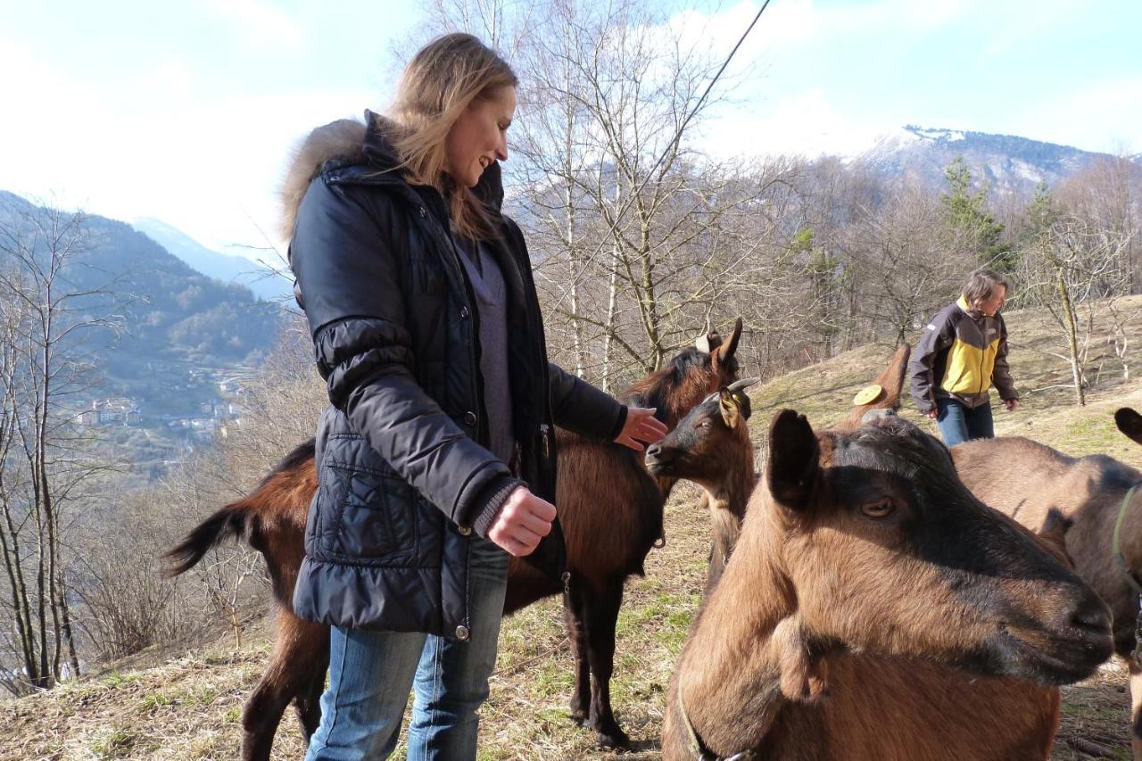 Agriturismo La Meta Pieve di Bono Bagian luar foto